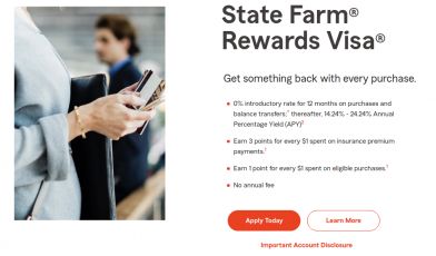 State Farm Bank Visa Credit Card Logo