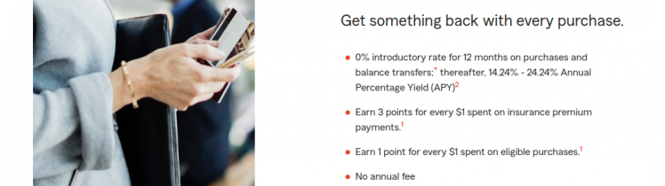 State Farm Bank Visa Credit Card Logo