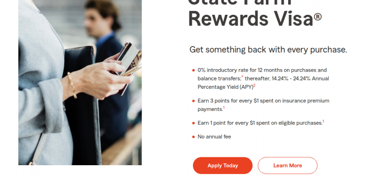 State Farm Bank Visa Credit Card Logo
